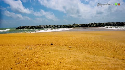 Tropical Beach With Wanes Crashing Sounds