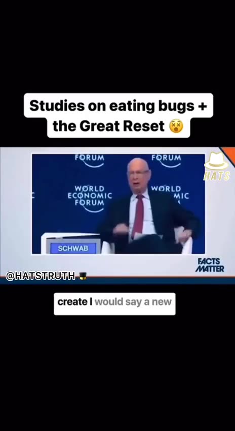 Did you know every insect contains Chitin?