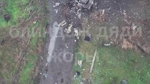 The final destination for two pigs from near Pokrovsk