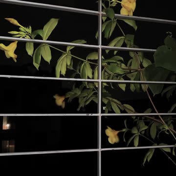 নির্দিষ্ট সময়ের আগে কিছুই হয় না, অতএব অপেক্ষার কোন বিকল্প নেই.। #MrAkboR #AakboR #iamaakboR