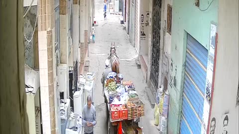 Camera1_elsayed_elsayed_20250205120000_20250205122043_1797641