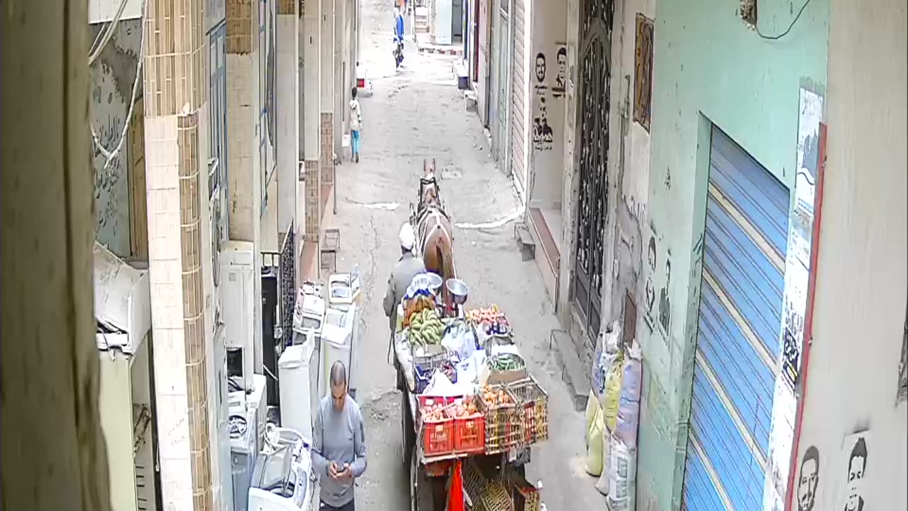 Camera1_elsayed_elsayed_20250205120000_20250205122043_1797641