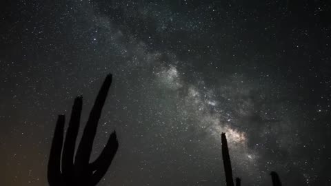 23. Art Bell MITD - Barbara Mcbeath & Brendan Cook - EVP's