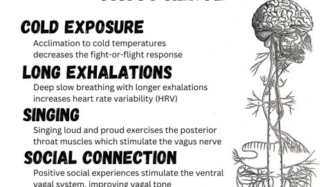 6 simple ways to Strengthen your VAGLE NERVE