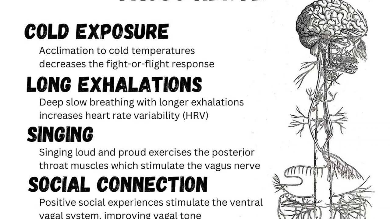 6 simple ways to Strengthen your VAGLE NERVE