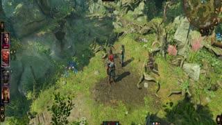 Baldur's Gate 3(Good)-Pissed Off Frog