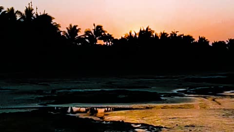 Sunrise experience on the beach