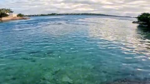 Epic Deep Sea Fishing Adventure – Monster Catch!