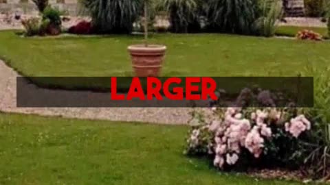 Landscape Transformation Through Gazebo Design