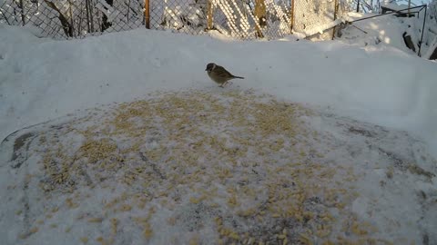 Rust en Schoonheid van de Natuur – Deel 18