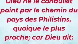 🚶‍♂️ « Dieu guide Israël par un autre chemin » Exode 13:17.#shortvideo #shorts #youtubeshorts #yt