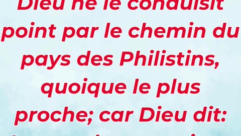 🚶‍♂️ « Dieu guide Israël par un autre chemin » Exode 13:17.#shortvideo #shorts #youtubeshorts #yt