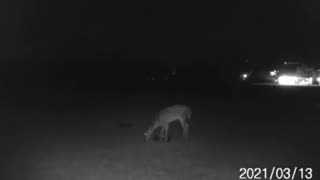 👁️😱 Captured on Security Camera: UFO Over [Location]! | TheTruthAbove