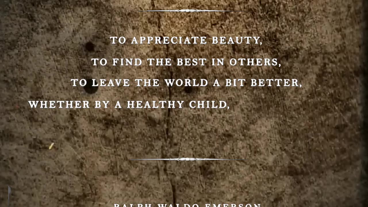 The Most Powerful Stoic Quotes For Everyday Life. part 44