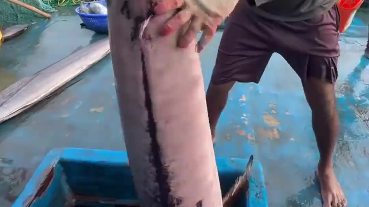 惊人的深海捕鱼过程#捕鱼 #深海捕鱼 #捕鱼达人 #海钓船钓