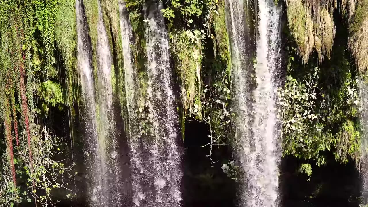 Amazing Nature