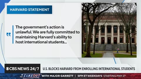 Companies could face Trump repercussions over DEI