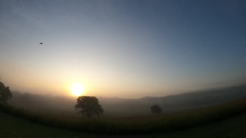 Sun ☀ Rise 6 17 25 62f/17c