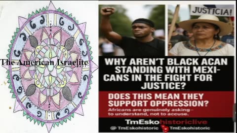 Illegal Immigrants Mad because Black People Fell Back
