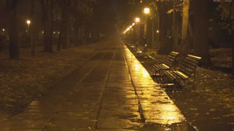 "Peaceful Night in the Park – Soothing Rain Sounds in Empty Pathways, Puddles & Rustling Leaves"