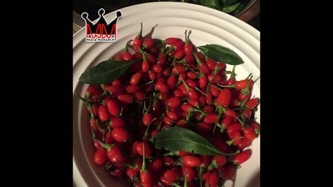Mounsey Minute Episode 20: The Gift Of the Goji