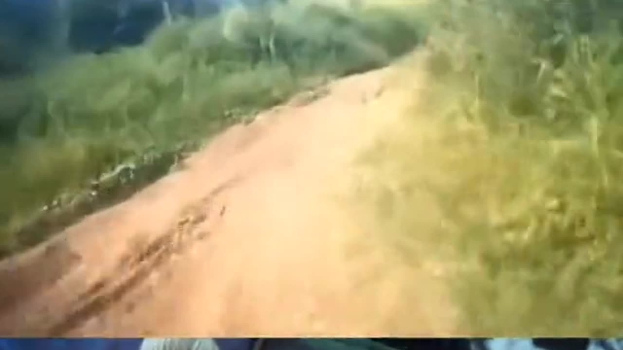 😱👻 Creature Caught on Camera! | TheHauntingHour