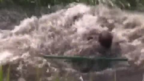 😂💼 You Won't Believe This Close Call! Almost Made It | FunFM