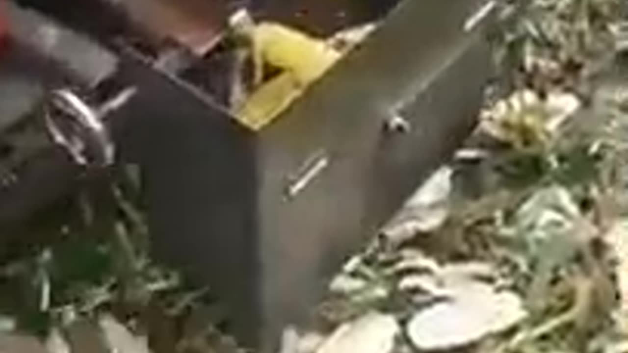 BEAUTIFUL VILLAGE🥔🥕🥒