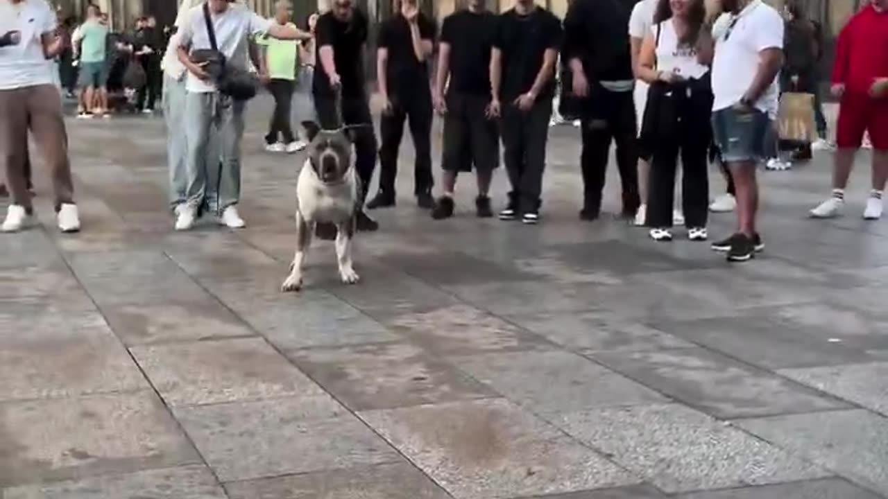 The ultimate repellent