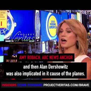 Amy Robach On Epstein