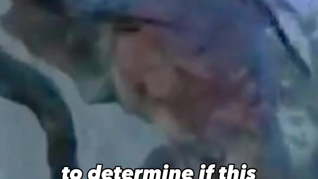 🛸🤔 Is This a New Species or Something More Exotic? | TheTruthAbove