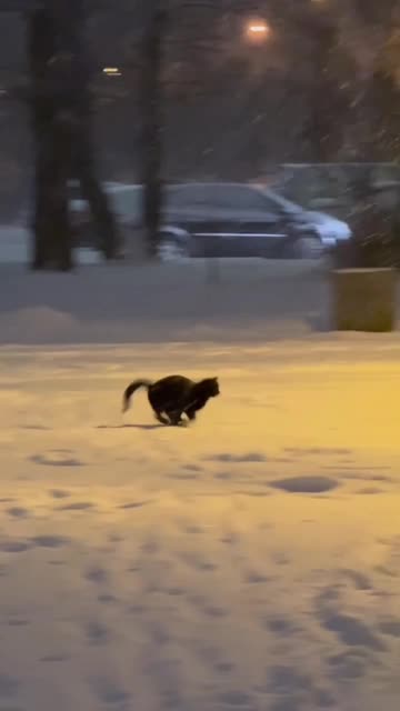 In my younger days when the snow fell 😊