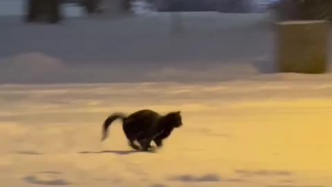 In my younger days when the snow fell 😊