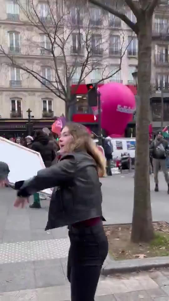 🚨🇫🇷Migrants attacked women protesting illegal immigration in France.