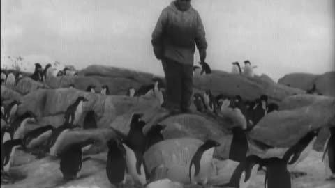 BYRD ANTARCTIC EXPEDITIONS, LITTLE AM... - BYRD ANTARCTIC EXPEDITIONS, LITTLE AMERICA - 111-adc-7214