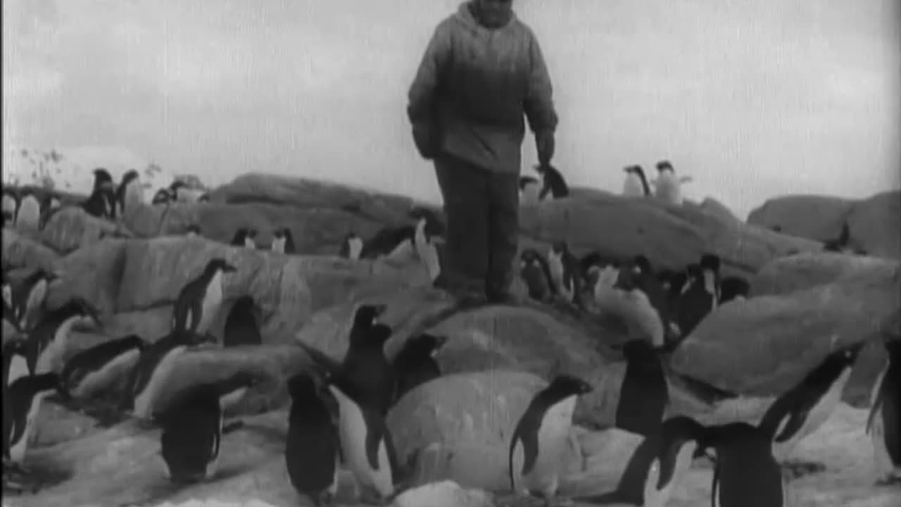 BYRD ANTARCTIC EXPEDITIONS, LITTLE AM... - BYRD ANTARCTIC EXPEDITIONS, LITTLE AMERICA - 111-adc-7214