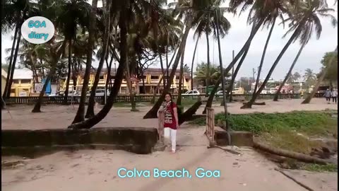 The beauty of Coconut Trees In Colva Beach