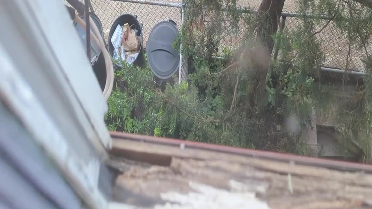 Inside: Current State of Water Damage of surrounding frame