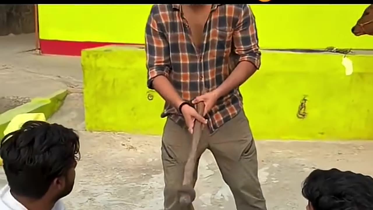 Try Not TO LAugh part 5