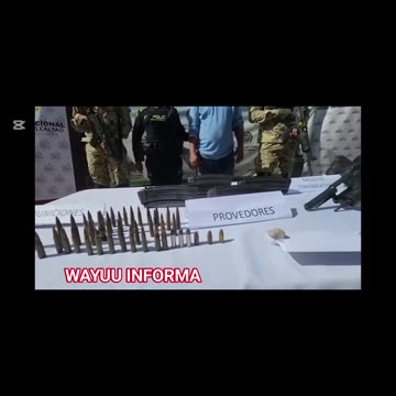 CAPTURA E INCUATACIÓN EN MAICAO