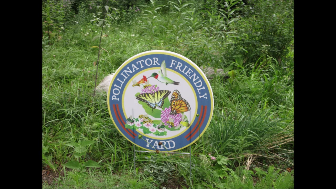 All Heal Valeriana July 2021