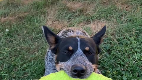 slow mo hoop tug 329084239408234098