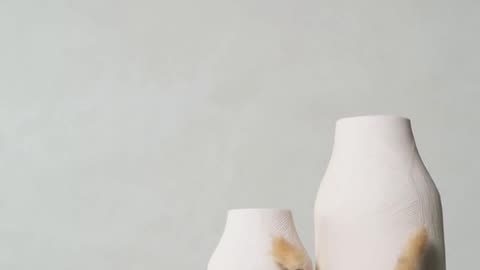 Daily Horoscope | Virgo 🌟