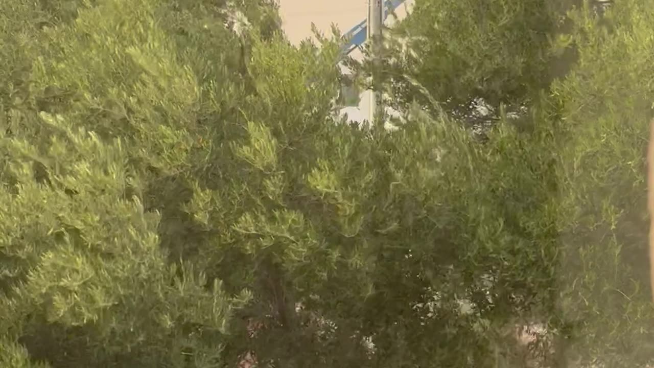 Cell Tower Workers Stuck In Swaying Crane During Dust Storm