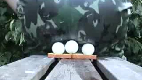 Sitting on Eggs & Bread - Male Content