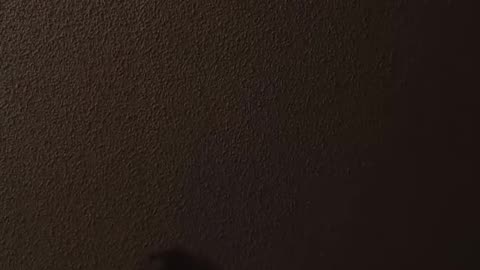 08/31/25 Retired Rookie VOD: "Let's not"