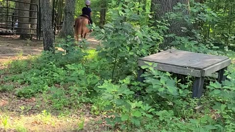 Kyla trail riding on scout!