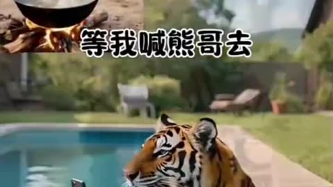 A Cat fight a Duck ।। Comedy।। #shorts #shortfeeds #rumbleshorts #viral #trending