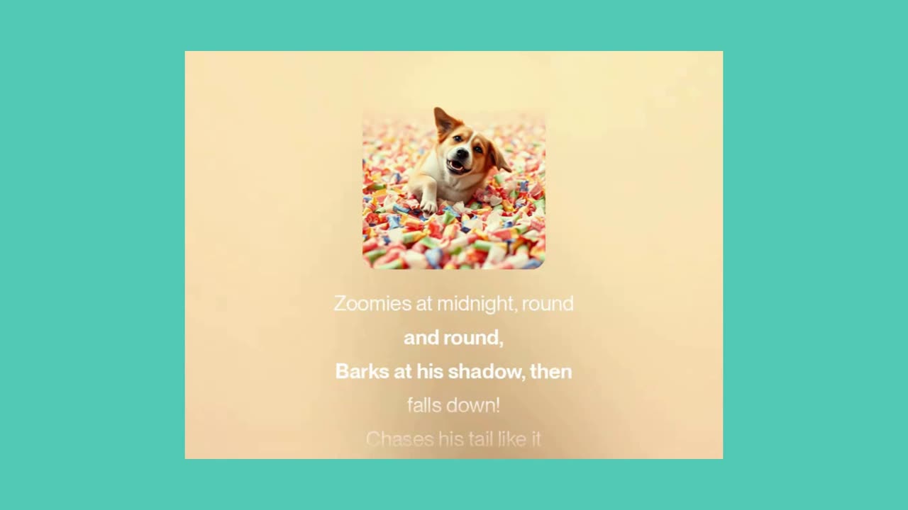 WEIRD DOG BOOGIE 2