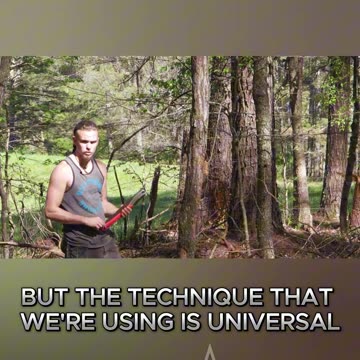 🌲 Tree Felling 101: Do It Like a Pro!